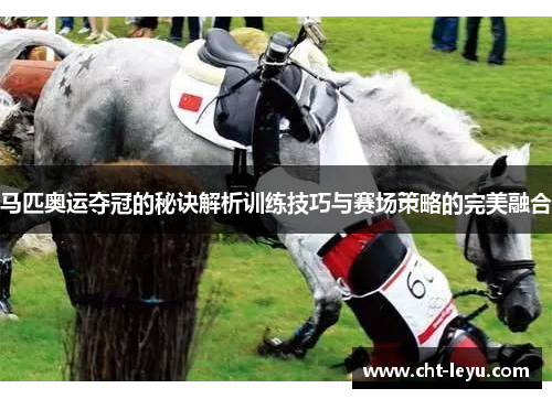 马匹奥运夺冠的秘诀解析训练技巧与赛场策略的完美融合