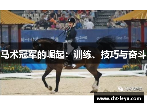马术冠军的崛起：训练、技巧与奋斗
