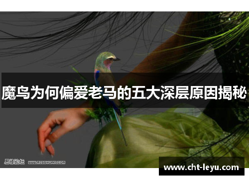 魔鸟为何偏爱老马的五大深层原因揭秘