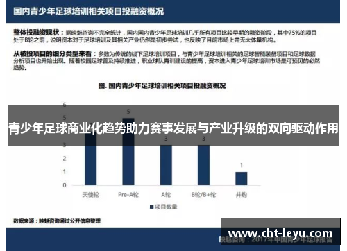 青少年足球商业化趋势助力赛事发展与产业升级的双向驱动作用