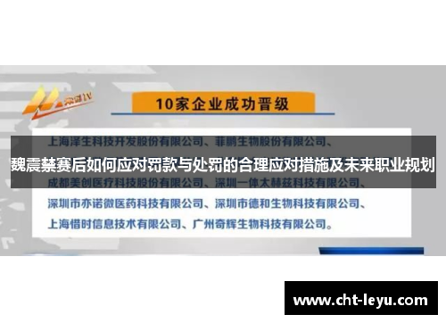 魏震禁赛后如何应对罚款与处罚的合理应对措施及未来职业规划
